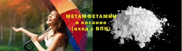 шишки Снежногорск