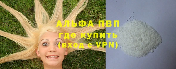 шишки Снежногорск