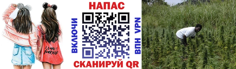 omg ONION купить закладку Канаш Бошки Шишки ГИДРОПОН